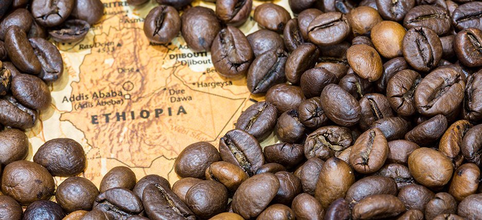 Why Ethiopian Single-Origin Coffee (Yirgacheffe, Sidamo) Is a Global Specialty Favorite